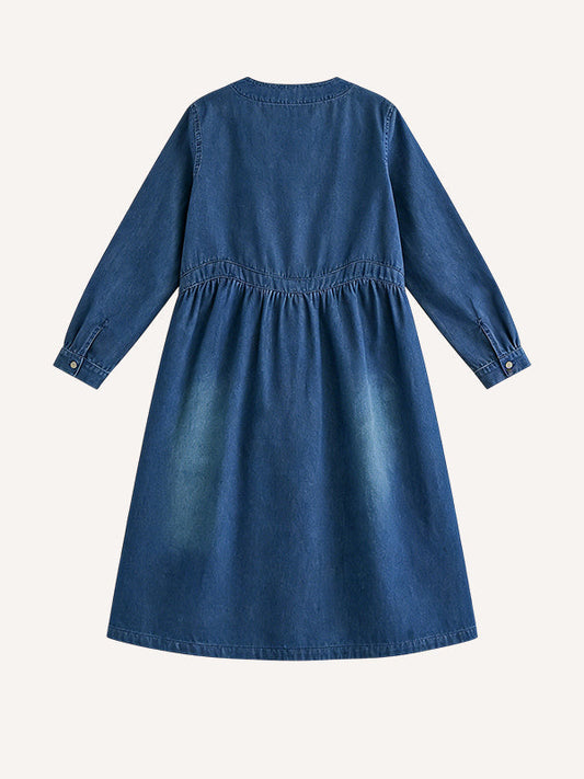 New Loose Denim Dress for Summer