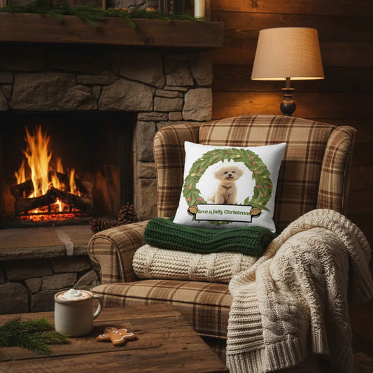 Have a jolly Christmas Pillow